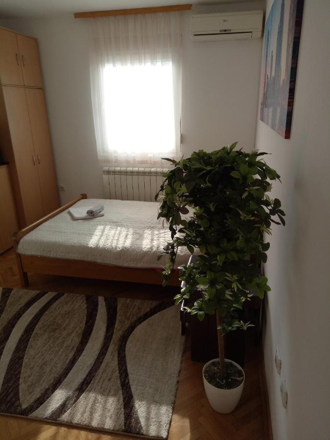 Cozy Studio Beograd Eksteriør billede
